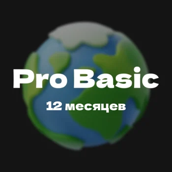 Pro Basic — 365 дней