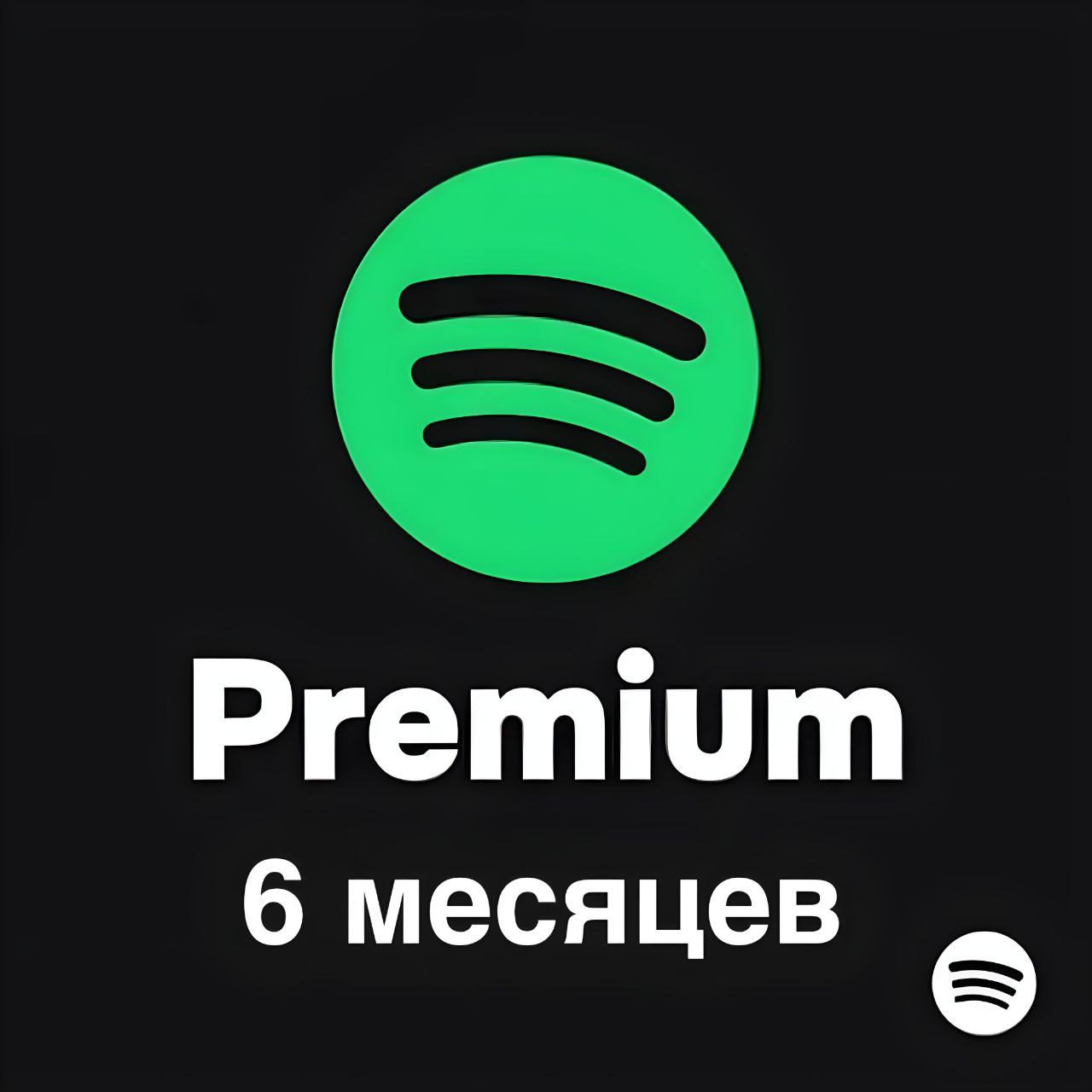 Премиум: 6 месяцев (Гифт) BR