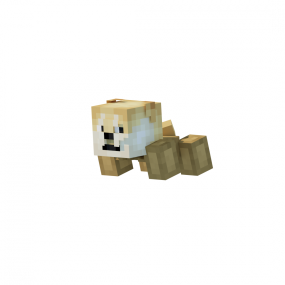 Компаньон Сиба-ину