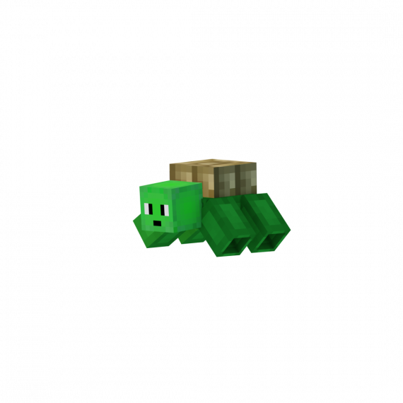 Компаньон Черепаха