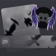 Набор "Ворон"