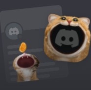 Набор "Голодный котик"