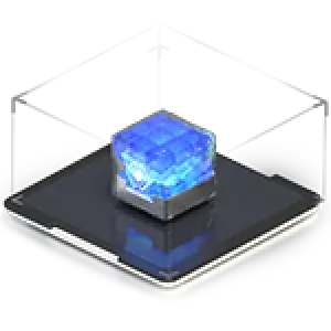 BitGold 6
